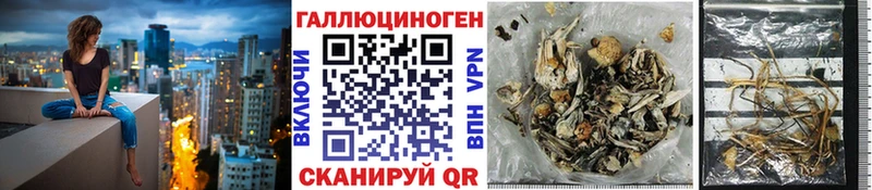 наркота  Дзержинский  Галлюциногенные грибы ЛСД 