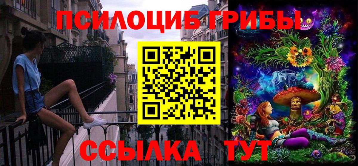 Псилоцибиновые грибы Psilocybine cubensis Дзержинский